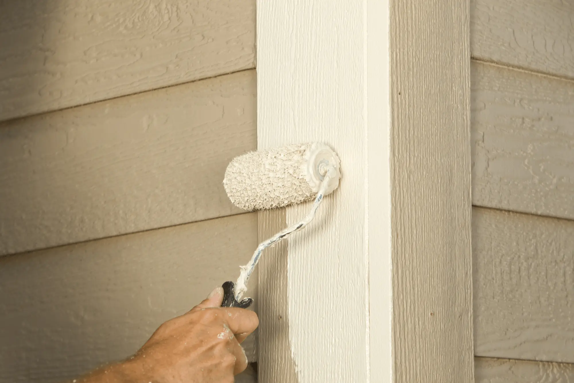 Denver House Painting Ideas: Top 6 Modern Trends!